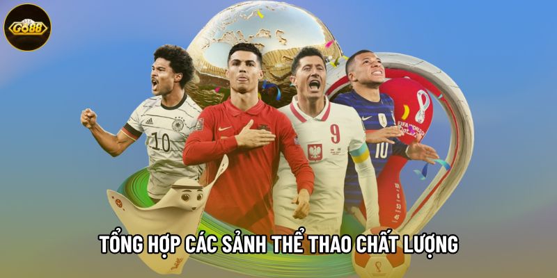 Tổng hợp các sảnh thể thao chất lượng Tổng hợp các sảnh thể thao chất lượng